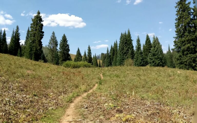 Sept ’20 Soul Theme – Mid Month Update